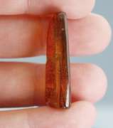 Stunning 10.89ct Baltic Amber with insects