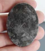 Stunning 107.04ct example of American Gabru Jasper