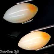 Marquise cut! 13.17ct bi-colored Opal cabochon