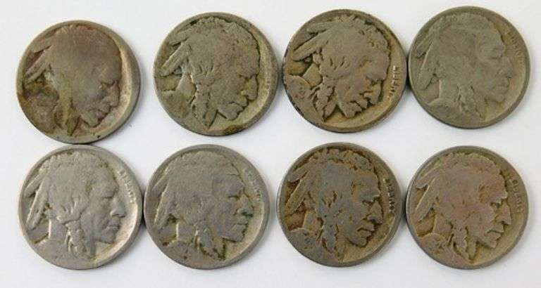 8 U.S. Buffalo Nickels