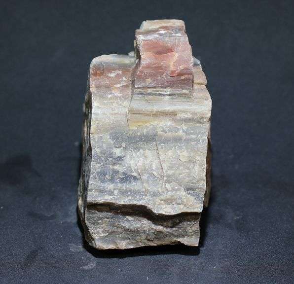 Very interesting 5,040ct real untreated Petrified Wood!