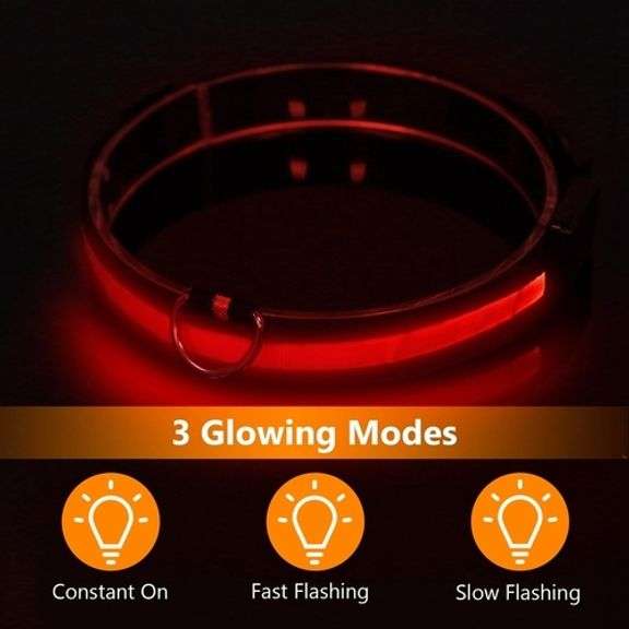 LED Dog Safety Collar for Night Walks