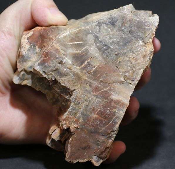 Very interesting 5,040ct real untreated Petrified Wood!