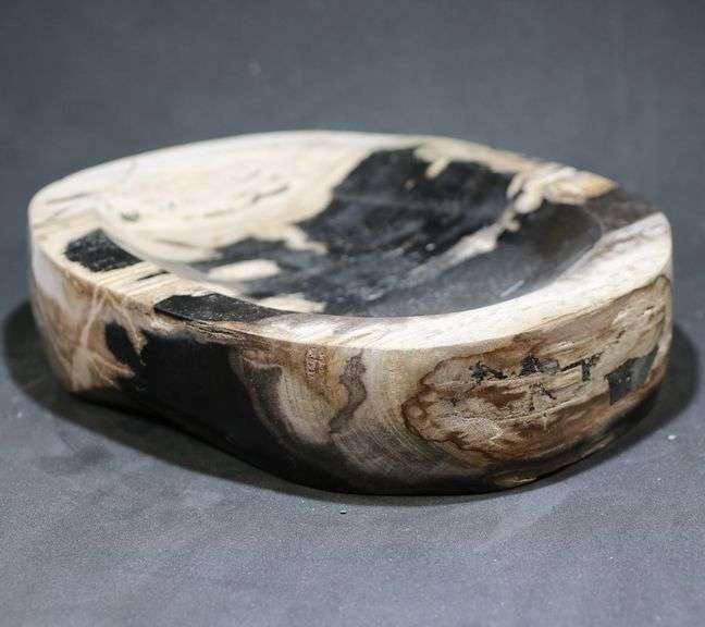 Statement piece! Petrified wood bowl weighing 7.52 pounds