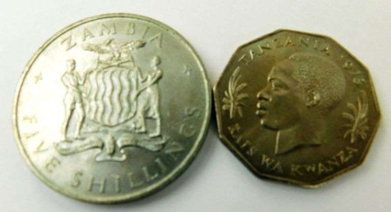 2 African Coins