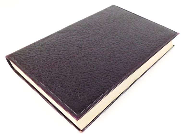 Ainsworth, Old St. Paul,  Antique Leather Book