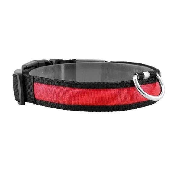 LED Dog Safety Collar for Night Walks