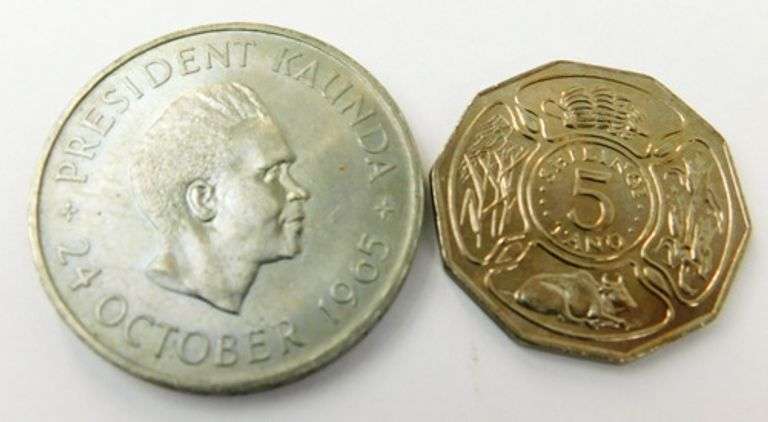 2 African Coins