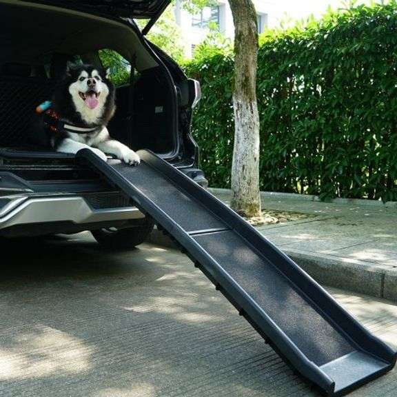 Pet Ramp: Safety & Mobility for Furry Friends