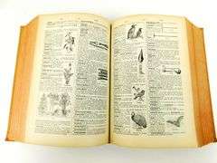 1938 Nouveau Petit La Rousse Illustre French Dictionary