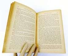 1880's The Pathfinder by J. Fenimore Cooper