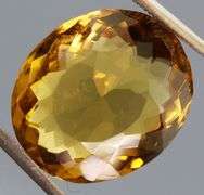 Collectors 13.22ct oval rich golden Citrine