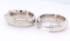 Pleasing White Gold Wide Hoop Earrings