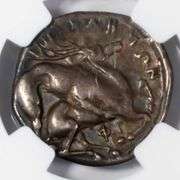 Lucania Velia 340-300 BC Didrachm Ch Fine NGC