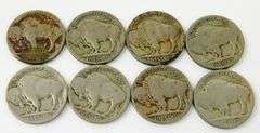 8 U.S. Buffalo Nickels