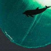 Solitary Dolphin in Green by Wyland Original