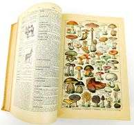 1938 Nouveau Petit La Rousse Illustre French Dictionary