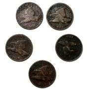 Five Flying Eagle Cents