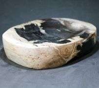 Statement piece! Petrified wood bowl weighing 7.52 pounds