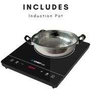 Efficient Single Induction Cooker