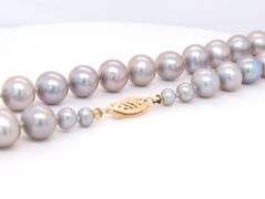 8.5mm Grey pearl strand necklace in yellow gold clasp