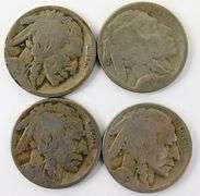 8 U.S. Buffalo Nickels