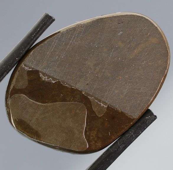 Look at this 21.36ct dragonfly wing patterned Ammolite!