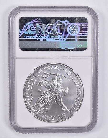 MS70 2022-W Burnished Silver Eagle FDOI NGC