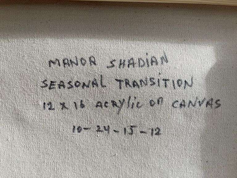Remarkable Original by Manor Shadian