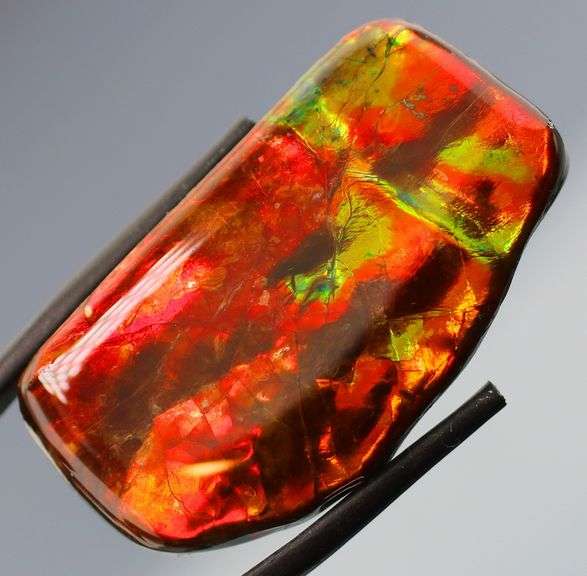 Outstanding 48.16ct fire red Ammolite Opal