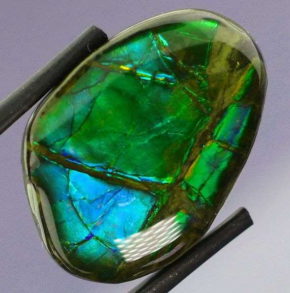 Look at this 21.36ct dragonfly wing patterned Ammolite!