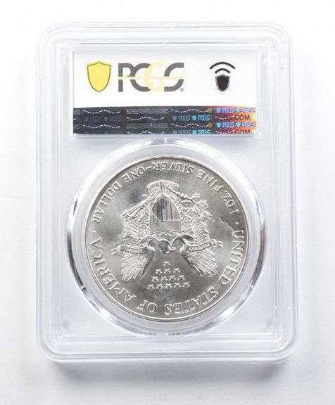 MS69 1996 American Silver Eagle PCGS Peripheral Toning