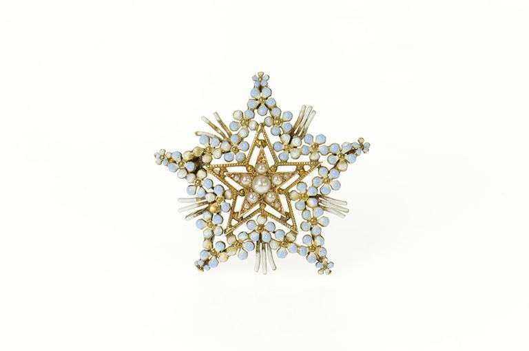 14K Yellow Gold Victorian Seed Pearl Floral Enamel Star Pin/Brooch