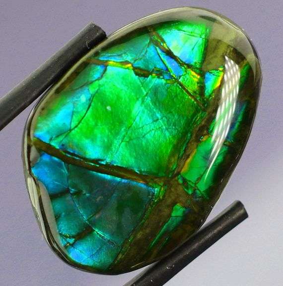 Look at this 21.36ct dragonfly wing patterned Ammolite!