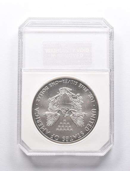 MS70 2010 American Silver Eagle PCI