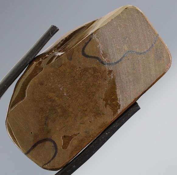 Outstanding 48.16ct fire red Ammolite Opal