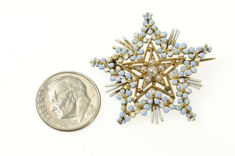 14K Yellow Gold Victorian Seed Pearl Floral Enamel Star Pin/Brooch