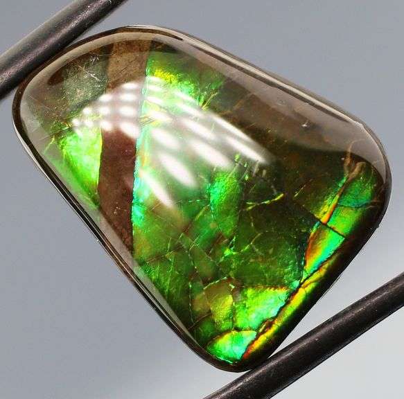 Teal and green flashing 18.47ct rainbow Ammolite