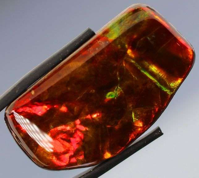 Outstanding 48.16ct fire red Ammolite Opal
