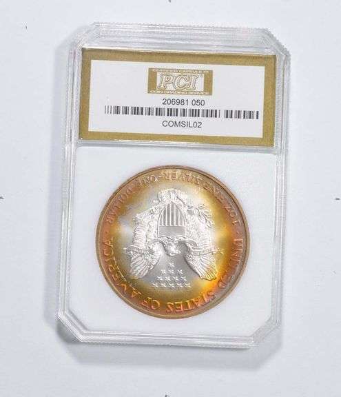 MS70 2002 American Silver Eagle PCI