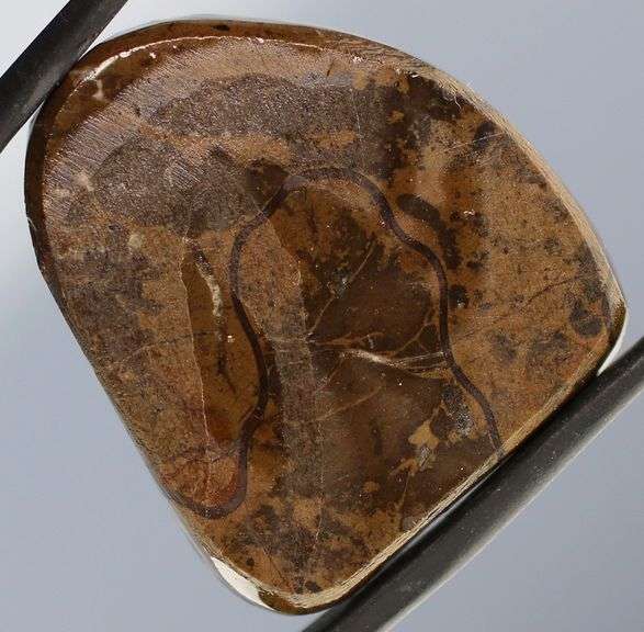 Stained glass patterned 29.36ct Ammolite