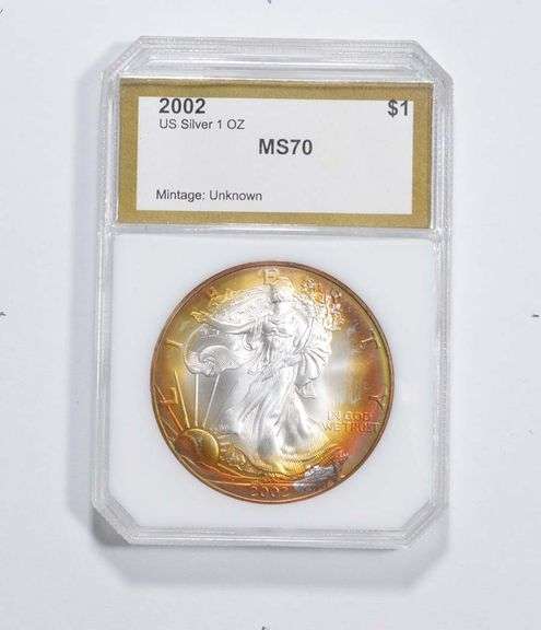 MS70 2002 American Silver Eagle PCI