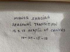 Remarkable Original by Manor Shadian