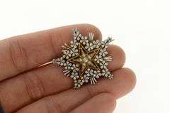 14K Yellow Gold Victorian Seed Pearl Floral Enamel Star Pin/Brooch