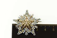 14K Yellow Gold Victorian Seed Pearl Floral Enamel Star Pin/Brooch