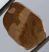 Indigo and green flashing 18.32ct rainbow Ammolite