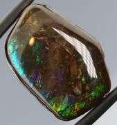 Indigo and green flashing 18.32ct rainbow Ammolite