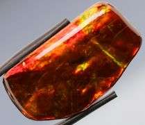 Outstanding 48.16ct fire red Ammolite Opal