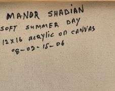 Wonderful Original by Manor Shadian
