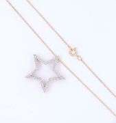 14kt Yellow gold 0.30ctw diamond star pendant on chain